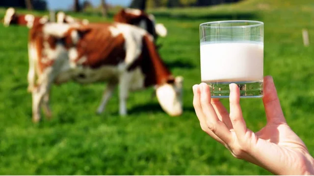 USK raises raw milk advisory price to 24.30 TL, effective May 1