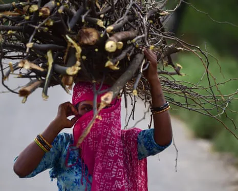 Cooking gas prices soar in Asia, forcing households back to firewood