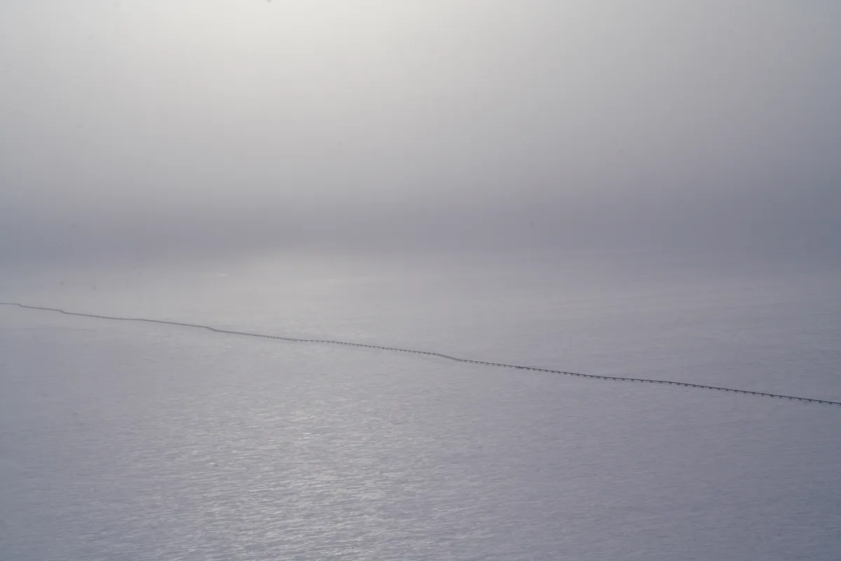 Alaska NPR‑A'da petrol ruhsatları hızlanıyor, üretim artışı hedefi