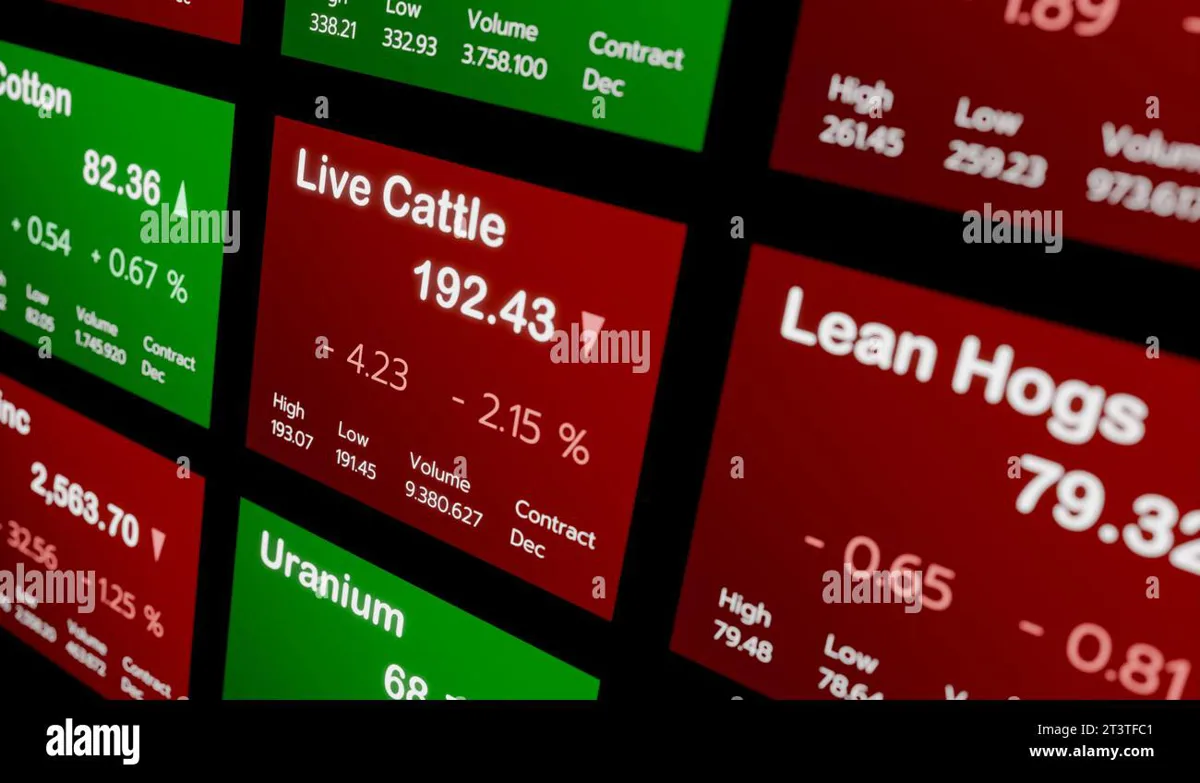 Lean Hog Futures Decline on Monday Amid Mixed Market Signals