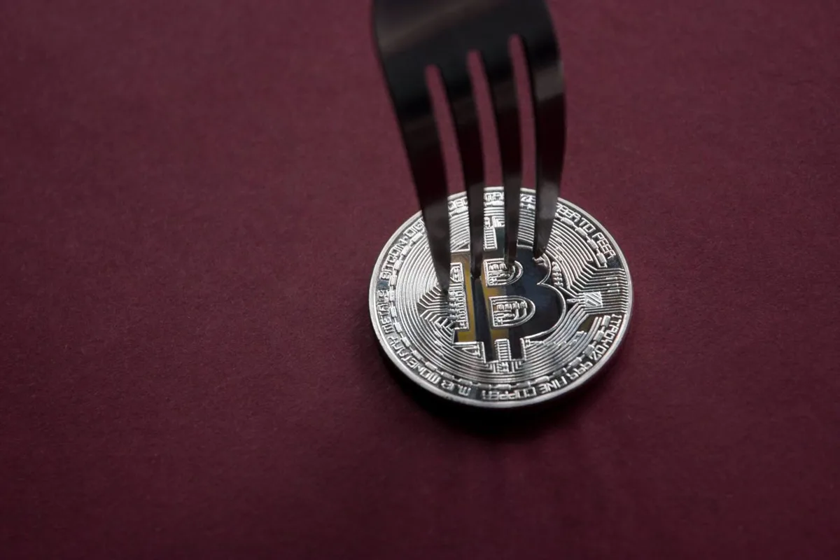 Bitcoin BIP-110 Fork Risk: Investors Warned Against Replay Attacks