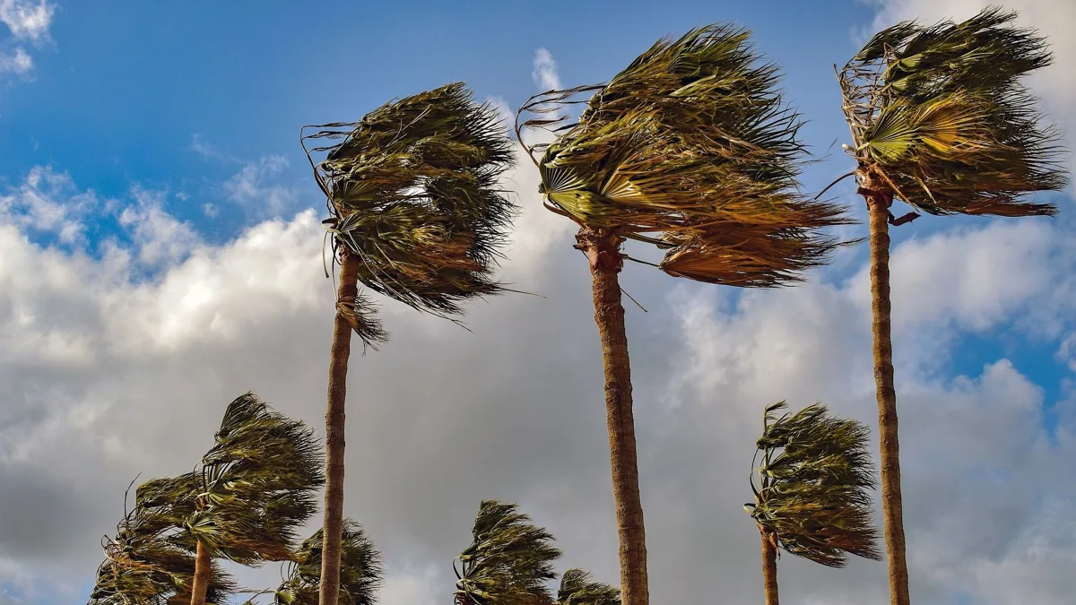 Regulatory Headwinds and ETF Outflows Pressuring Bitcoin and XRP in Crypto Market