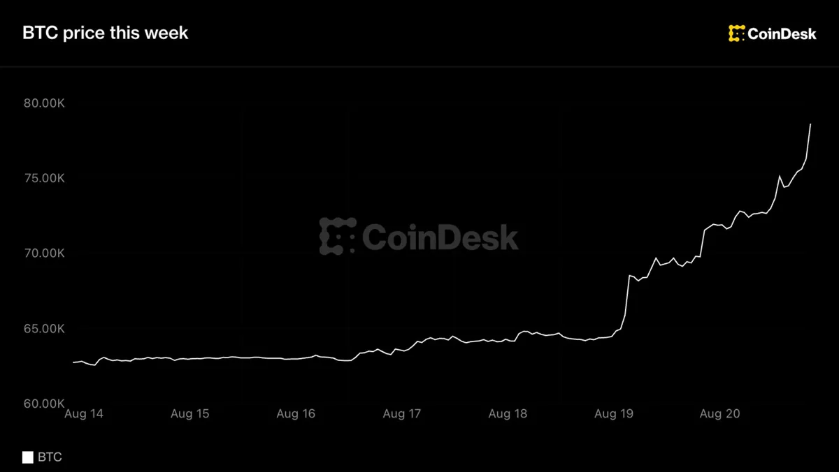 Bitcoin 77.000 Doları Aştı: Kripto Piyasasında Yılın En Güçlü Haftası